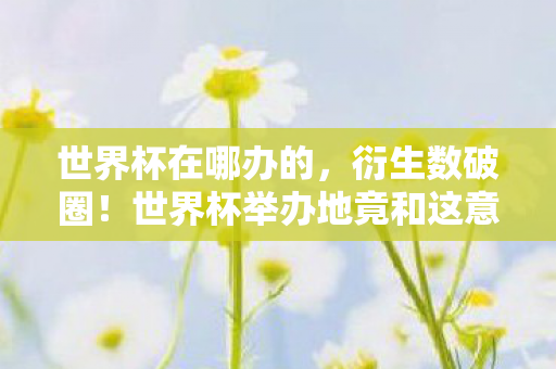 世界杯在哪办的，衍生数破圈！世界杯举办地竟和这意想不到的潮流玩意儿联动了？