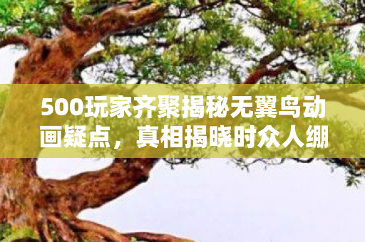 500玩家齐聚揭秘无翼鸟动画疑点,真相揭晓时众人绷不住了! 500玩家齐聚揭秘无翼鸟动画疑点,真相揭晓时众人绷不住了!
