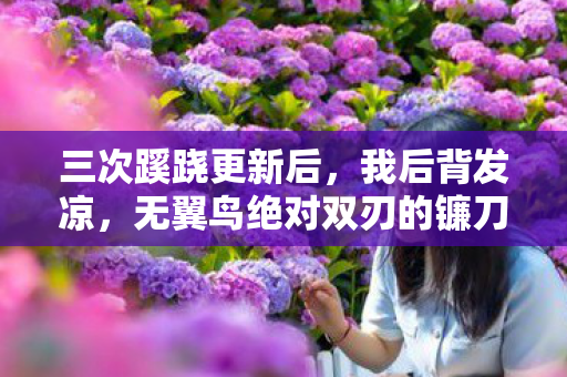 三次蹊跷更新后，我后背发凉，无翼鸟绝对双刃的镰刀从未停过