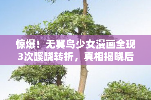 惊爆!无翼鸟少女漫画全现3次蹊跷转折,真相揭晓后背发凉! 惊爆!无翼鸟少女漫画全现3次蹊跷转折,真相揭晓后背发凉!