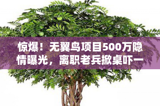 惊爆!无翼鸟项目500万隐情曝光,离职老兵掀桌吓一跳! 惊爆!无翼鸟项目500万隐情曝光,离职老兵掀桌吓一跳!