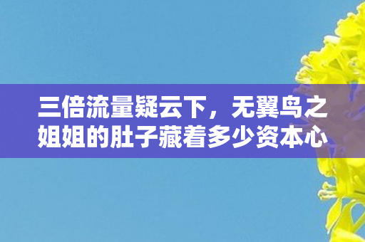 三倍流量疑云下,无翼鸟之姐姐的肚子藏着多少资本心寒真相? 三倍流量疑云下,无翼鸟之姐姐的肚子藏着多少资本心寒真相?