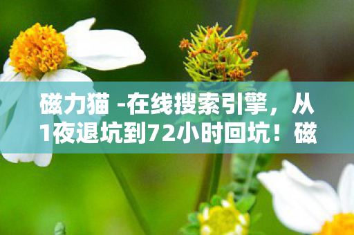 磁力猫 -在线搜索引擎,从1夜退坑到72小时回坑!磁力猫这波操作让我彻底破防了! 磁力猫 -在线搜索引擎,从1夜退坑到72小时回坑!磁力猫这波操作让我彻底破防了!