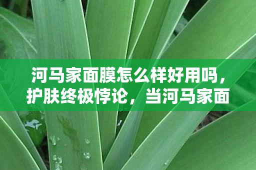河马家面膜怎么样好用吗,护肤终极悖论,当河马家面膜成为中年玩家的存在主义审判场 河马家面膜怎么样好用吗,护肤终极悖论,当河马家面膜成为中年玩家的存在主义审判场
