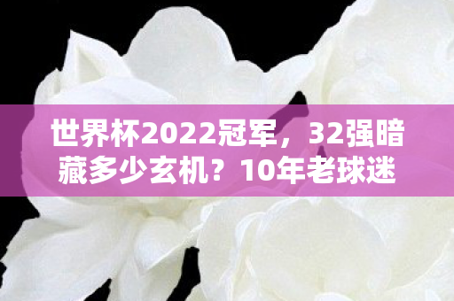 世界杯2022冠军,32强暗藏多少玄机?10年老球迷揭秘世界杯背后的惊人真相! 世界杯2022冠军,32强暗藏多少玄机?10年老球迷揭秘世界杯背后的惊人真相!