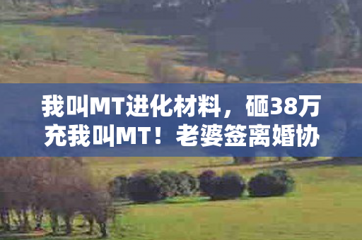 我叫MT进化材料,砸38万充我叫MT!老婆签离婚协议那刻,我才知家底早被掏空! 我叫MT进化材料,砸38万充我叫MT!老婆签离婚协议那刻,我才知家底早被掏空!