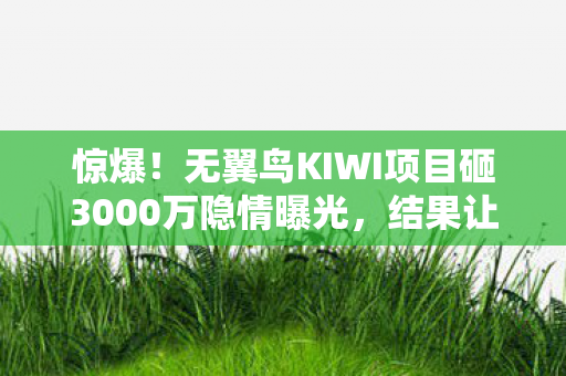 惊爆!无翼鸟KIWI项目砸3000万隐情曝光,结果让人吓一跳! 惊爆!无翼鸟KIWI项目砸3000万隐情曝光,结果让人吓一跳!