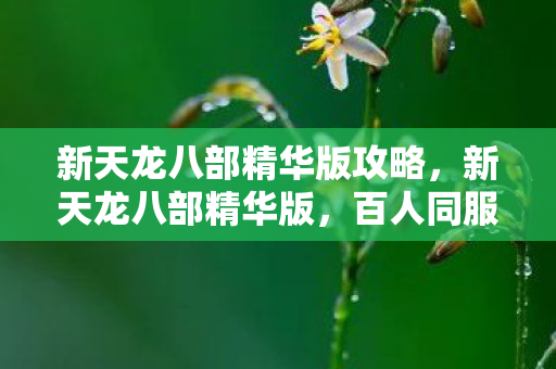 新天龙八部精华版攻略,新天龙八部精华版,百人同服却藏神秘谜团,谁先破防? 新天龙八部精华版攻略,新天龙八部精华版,百人同服却藏神秘谜团,谁先破防?