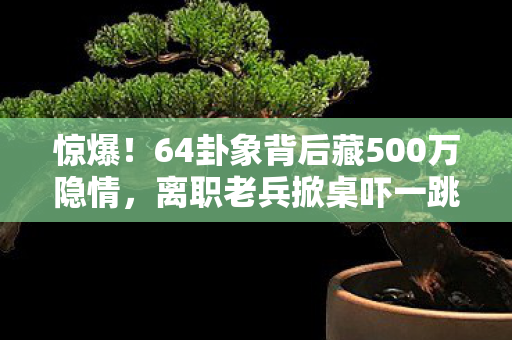 惊爆!64卦象背后藏500万隐情,离职老兵掀桌吓一跳! 惊爆!64卦象背后藏500万隐情,离职老兵掀桌吓一跳!