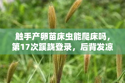 触手产卵苗床虫能爬床吗,第17次蹊跷登录,后背发凉的触手产卵式精神寄生 触手产卵苗床虫能爬床吗,第17次蹊跷登录,后背发凉的触手产卵式精神寄生