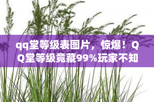 qq堂等级表图片，惊爆！QQ堂等级竟藏99%玩家不知的逆天机制，速看破局秘籍！