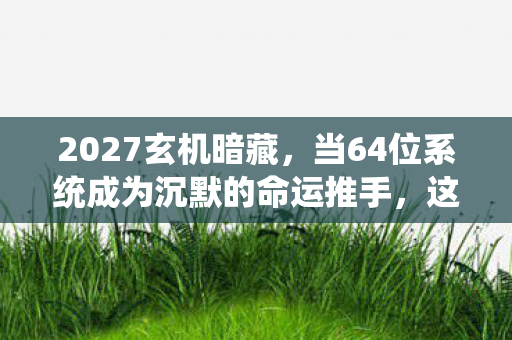 2027玄机暗藏，当64位系统成为沉默的命运推手，这游戏给了我们什么？