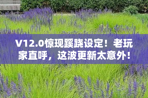 V12.0惊现蹊跷设定！老玩家直呼，这波更新太意外！
