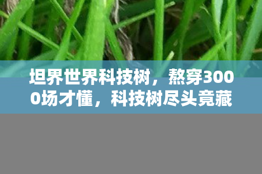 坦界世界科技树，熬穿3000场才懂，科技树尽头竟藏着把刀！99%玩家在2027年集体破防？