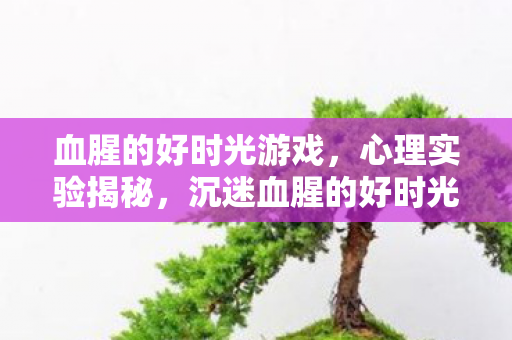 血腥的好时光游戏，心理实验揭秘，沉迷血腥的好时光？多巴胺陷阱让你细思极恐！