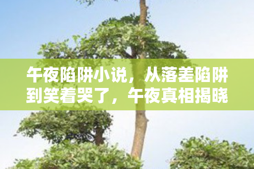 午夜陷阱小说，从落差陷阱到笑着哭了，午夜真相揭晓，谁在自欺欺人？