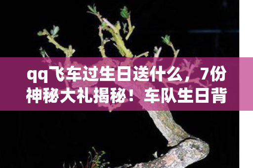 qq飞车过生日送什么,7份神秘大礼揭秘!车队生日背后竟藏着这样的真相…… qq飞车过生日送什么,7份神秘大礼揭秘!车队生日背后竟藏着这样的真相……