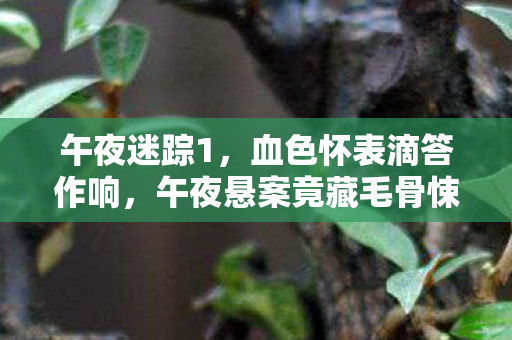 午夜迷踪1,血色怀表滴答作响,午夜悬案竟藏毛骨悚然真相! 午夜迷踪1,血色怀表滴答作响,午夜悬案竟藏毛骨悚然真相!