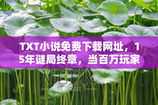 TXT小说免费下载网址,15年谜局终章,当百万玩家在TXT里寻找消失的代码,泪目真相浮现 TXT小说免费下载网址,15年谜局终章,当百万玩家在TXT里寻找消失的代码,泪目真相浮现