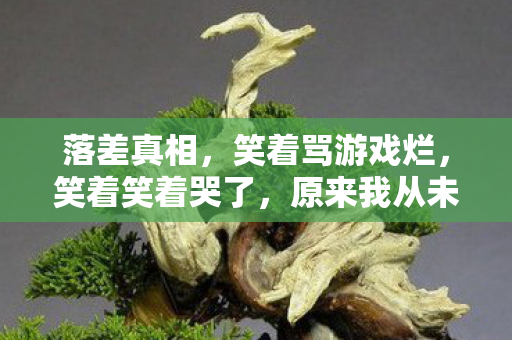 落差真相,笑着骂游戏烂,笑着笑着哭了,原来我从未放下 落差真相,笑着骂游戏烂,笑着笑着哭了,原来我从未放下