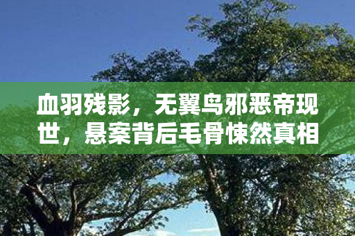 血羽残影，无翼鸟邪恶帝现世，悬案背后毛骨悚然真相