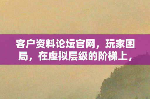 客户资料论坛官网，玩家困局，在虚拟层级的阶梯上，自由意志竟是命运悖论的祭品？