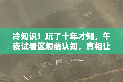 冷知识！玩了十年才知，午夜试看区颠覆认知，真相让我目瞪口呆！