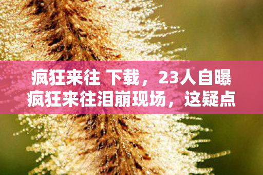 疯狂来往 下载，23人自曝疯狂来往泪崩现场，这疑点重重的游戏，我绷不住了！