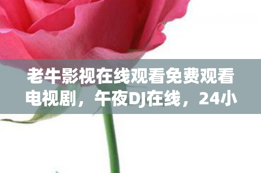 老牛影视在线观看免费观看电视剧，午夜DJ在线，24小时旋律，生命消逝的证据