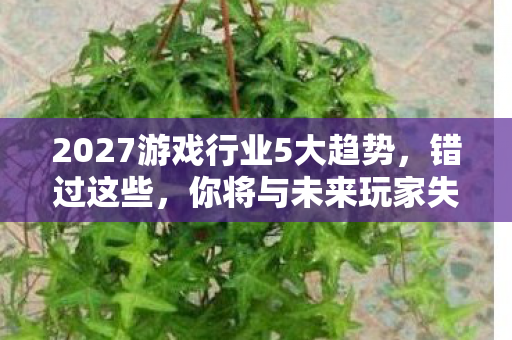 2027游戏行业5大趋势,错过这些,你将与未来玩家失之交臂! 2027游戏行业5大趋势,错过这些,你将与未来玩家失之交臂!