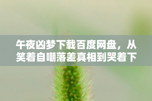 午夜凶梦下载百度网盘，从笑着自嘲落差真相到哭着下载，午夜凶梦里，我戒不掉的竟是自己