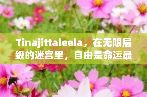 Tinajittaleela，在无限层级的迷宫里，自由是命运最悖谬的诅咒
