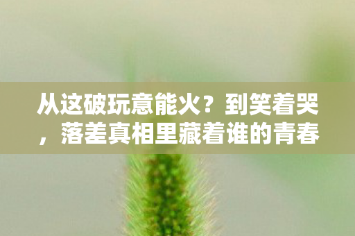 从这破玩意能火？到笑着哭，落差真相里藏着谁的青春？