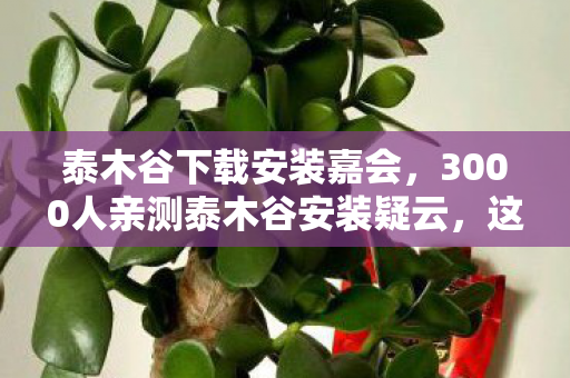 泰木谷下载安装嘉会,3000人亲测泰木谷安装疑云,这破软件咋让网吧老炮集体绷不住? 泰木谷下载安装嘉会,3000人亲测泰木谷安装疑云,这破软件咋让网吧老炮集体绷不住?