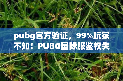 pubg官方验证，99%玩家不知！PUBG国际服鉴权失败竟藏着逆天外挂级隐藏机制？