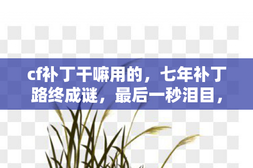 cf补丁干嘛用的,七年补丁路终成谜,最后一秒泪目,当CF的代码雨落进2028的夜 cf补丁干嘛用的,七年补丁路终成谜,最后一秒泪目,当CF的代码雨落进2028的夜