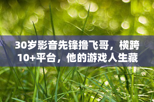 30岁影音先锋撸飞哥，横跨10+平台，他的游戏人生藏着多少心酸？