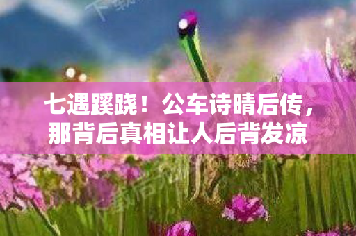 七遇蹊跷！公车诗晴后传，那背后真相让人后背发凉