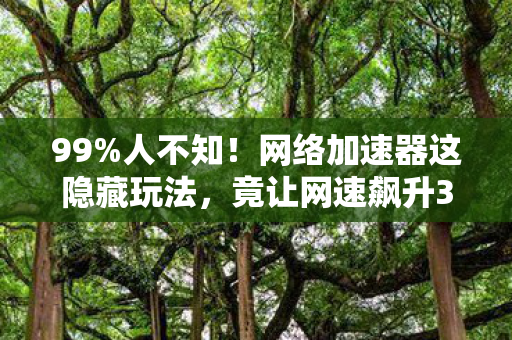 99%人不知！网络加速器这隐藏玩法，竟让网速飙升300%？