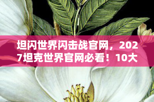 坦闪世界闪击战官网,2027坦克世界官网必看!10大心得+避坑指南助你战力飙升 坦闪世界闪击战官网,2027坦克世界官网必看!10大心得+避坑指南助你战力飙升