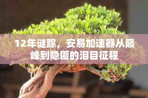 12年谜踪,安易加速器从巅峰到隐匿的泪目征程 12年谜踪,安易加速器从巅峰到隐匿的泪目征程