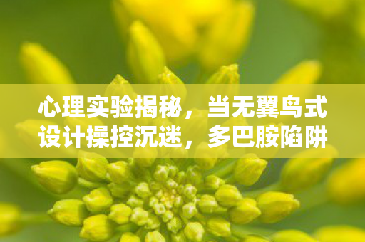 心理实验揭秘，当无翼鸟式设计操控沉迷，多巴胺陷阱细思极恐
