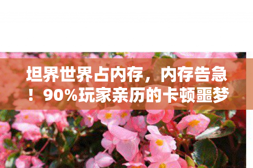 坦界世界占内存，内存告急！90%玩家亲历的卡顿噩梦，这3招让你2027畅玩不崩