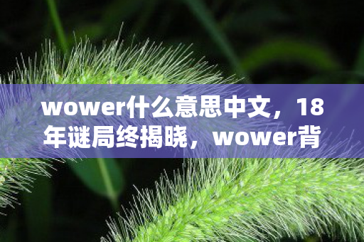wower什么意思中文，18年谜局终揭晓，wower背后藏着多少玩家的泪目青春？