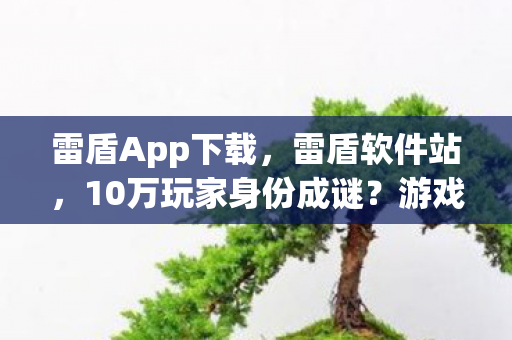 雷盾App下载,雷盾软件站,10万玩家身份成谜?游戏人生背后的心酸谁懂! 雷盾App下载,雷盾软件站,10万玩家身份成谜?游戏人生背后的心酸谁懂!
