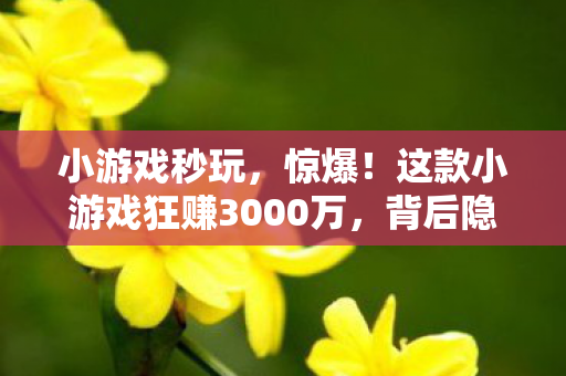 小游戏秒玩,惊爆!这款小游戏狂赚3000万,背后隐情让人吓一跳! 小游戏秒玩,惊爆!这款小游戏狂赚3000万,背后隐情让人吓一跳!
