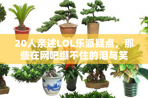 20人亲述LOL乐派疑点，那些在网吧绷不住的泪与笑