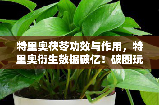 特里奥茯苓功效与作用,特里奥衍生数据破亿!破圈玩法竟让音乐综艺与时尚秀场集体沦陷 特里奥茯苓功效与作用,特里奥衍生数据破亿!破圈玩法竟让音乐综艺与时尚秀场集体沦陷
