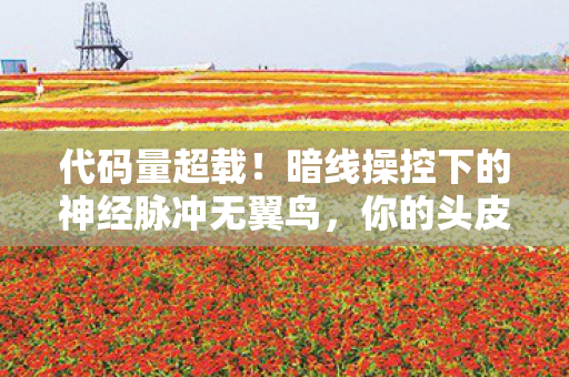代码量超载！暗线操控下的神经脉冲无翼鸟，你的头皮发麻只是开始