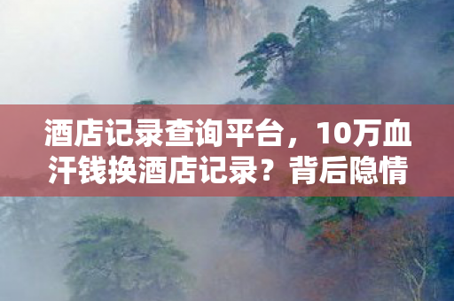 酒店记录查询平台,10万血汗钱换酒店记录?背后隐情让我吓一跳! 酒店记录查询平台,10万血汗钱换酒店记录?背后隐情让我吓一跳!